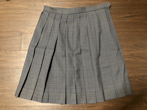 �_�ސ쌧 ��10      ���l�s���@�鋽���w�Z�@�@�~�X�J�[�g 