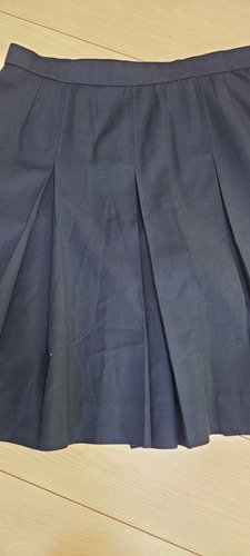 �����s �������S���q���E���Z�̐��X�J�[�g�I�I