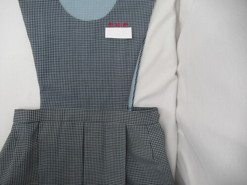 ������ 8895�@450�@�嗘���w �ăW�����X�J �M���K���`�F�b�N��