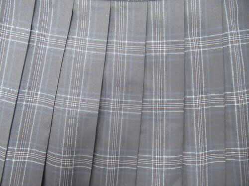 [�s��] 8896�@410�@�傫�ȃT�C�Y�I�~�X�J�[�g VARSITYMATE TOMBOW���{���{�s���N