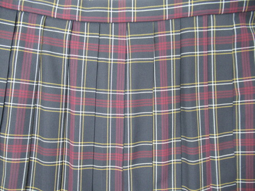 [�s��] 8899�@490�@�傫�ȃT�C�Y�I�~�X�J�[�g SCHOOLTIGER�� ���{�ԁ{�� �`�F�b�N��