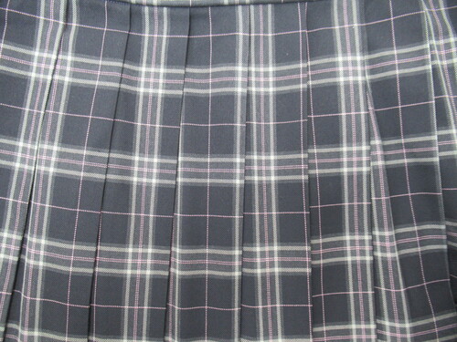 �啪�� 8901�@560�@�傫�ȃT�C�Y�I���Ó����Z �~�X�J�[�g ��+�O���[�{�s���N �`�F�b�N��