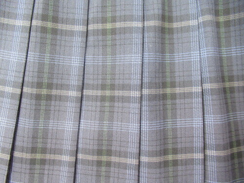 [�s��] 8912�@430�@�傫�ȃT�C�Y�I�~�X�J�[�g SCHOOLTIGER�� �O���[�{���{��