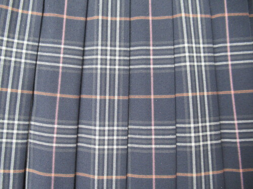 [�s��] 8930�@360�@����T�C�Y�I�ăX�J�[�g SCHOOLTIGER�� ��+�O���[�{�s���N �`�F�b�N��