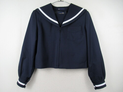 �ޗǌ� 8954�@510�@�傫�ȃT�C�Y�I�V�������w �~�Z�[���[�㒅 �O�W�b�p�[