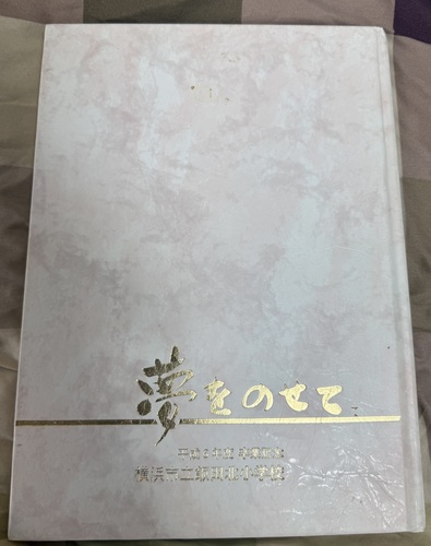 �_�ސ쌧 ���ƃA���o���E���w�Z�E���l�s�E1995�N����