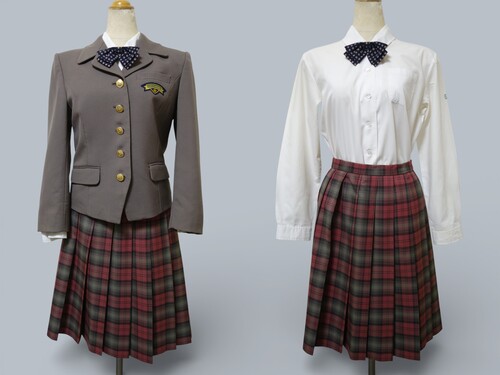 ���{ 423���֐���q���Z���i�������j�x�[�W���n�u���U�[���`�F�b�N�X�J�[�g�i�~�j�w��u���E�X�E���{����W69