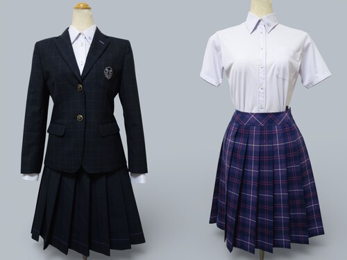 ���{ 425����^���Z���i���s�����j�i�q�`�F�b�N�u���U�[�E�X�J�[�g�i�ē~�j�w��u���E�X/�ē~5�_��M�EW66