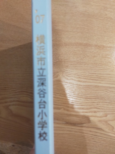 �_�ސ쌧 ���l�����[�J�䏬�w�Z�@���ƃA���o��