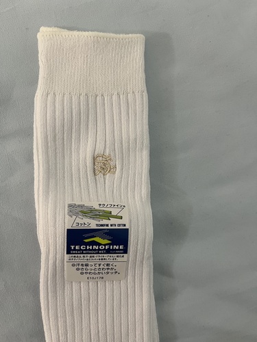 �����s �a�J����w���a�J�����w�Z�@���q�w��\�b�N�X�@�C��