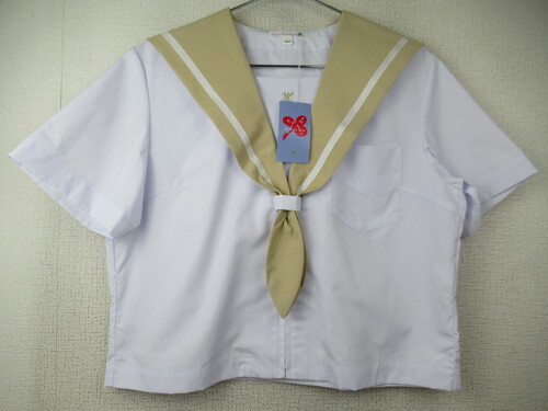 �啪�� 8990�@240�@����T�C�Y�I�k�����w �ăZ�[���[�㒅 �x�[�W���� �O�W�b�p�[ �^�O�t���g�p