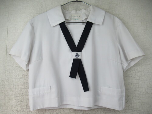 ���ꌧ 8999�@220�@����k���Z �ăZ�[���[�㒅 ���^�C�t