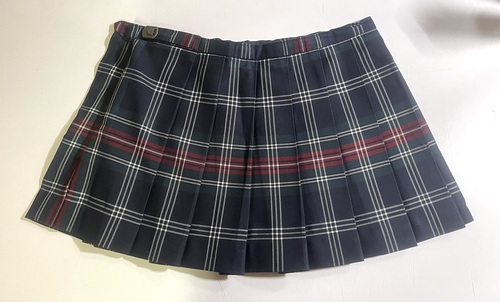 ���ꌧ �Y�Y�H�ƍ��Z���~�j�X�J�[�g�����ꌧ