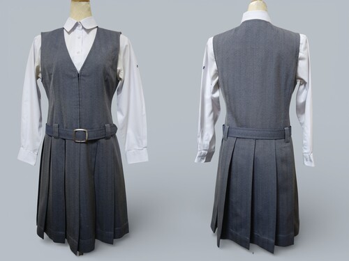 ���{ 429����㏗�w�@���Z���w��u���E�X���O���[�w�����{�[�����W�����p�[�X�J�[�g�i�~�E�x���g�t�j��160A