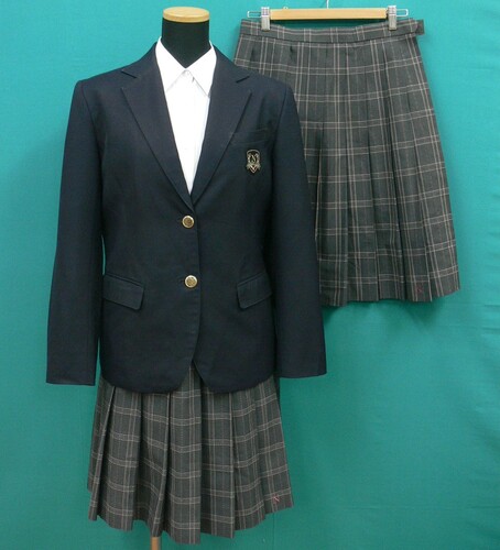 ���{ #1631�@�s�����s���@㊎蒆�w�Z�t���n�u���U�[�����~�ăZ�b�g�@�T�C�Y165A