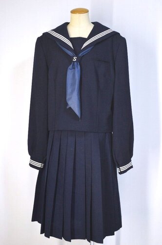  ����ʌ� ���R�������J���w�Z 3���C���Z�[���[�~�� �ăv���[�c�X�J�[�g��T5823