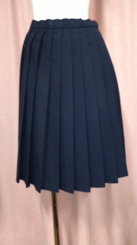 [�s��] No.129   �X�J�[�g �s���~����