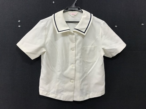  7100 �F�{�� �b�������b�����w �ĕ� ���� �w��Z�[���[�� �T�C�Y L���x �n���[�X�`���[�f���g ��