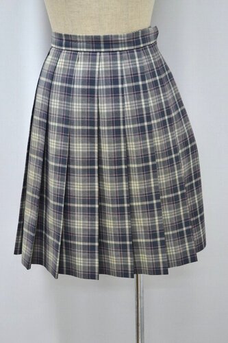  �������s ���~�w�������w�Z �ăX�J�[�g ��NA0676