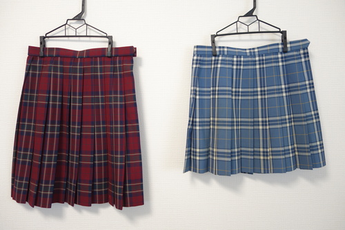 ���{ 433�����{�� �L�����Z���`�F�b�N�X�J�[�g2���i�ē~�j��W69