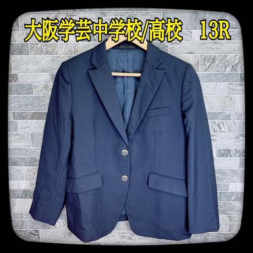 ���{ �y���i�z�����@���w�|�����w�Z�@�u���U�[�@13R�@�G���u���������@���{�^������