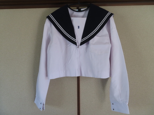 �a�̎R�� ���� �ɓs���Z �傫�� �T�C�Y 170AB �� (����) �Z�[���[�� �㒅�̂�