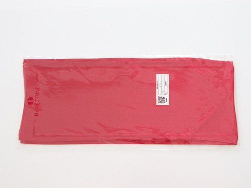 �����s �y�V�i���g�p�z�@�������w�ف@�ԃ��{���@�w��X�J�[�t�@�G���W