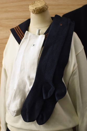  c���ǍD�������s�֓����ۍ����w�Z �w�� ���q�ē~�w��\�b�N�X/�C������