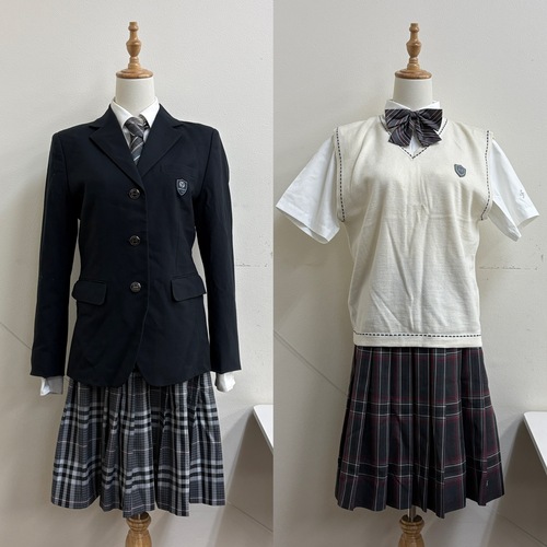 ��ʌ� �w�Z�@�l�q�����w�� ���q�[�J�����w�Z ���q���� �~���ĕ��ꎮ �傫�߃T�C�Y [022802A]