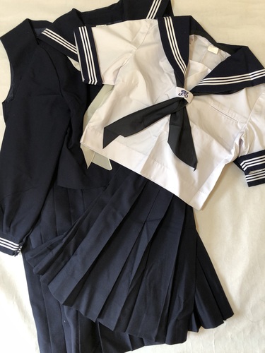 �_�ސ쌧 �ɐ����s���ɐ������w�Z�@���q�����Z�b�g