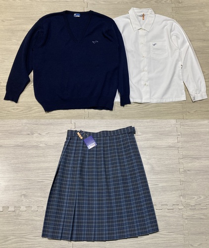 ���{ 2-156�����{���@�򒹎捂�Z�����F�Z�[�^�[�E�����u���E�X�E�`�F�b�N�̓~�X�J�[�g