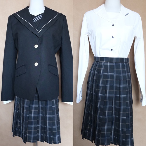 �_�ސ쌧 �傫���T�C�Y ���l�����w�Z  �u���U�[ �V���c �X�J�[�g ��������