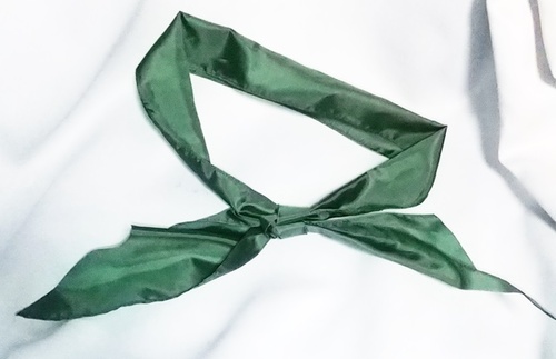  �s���@�p�[�^�C�@�ΐF