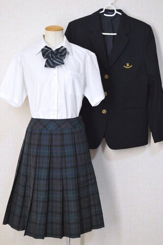  ����ʌ��� ��������w�Z �u���U�[ �ĕ� ���{�� ��size�X�J�[�g��T5885