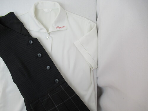 ���ꌧ 9068�@620�@���ꏗ�q���Z �ď㒅���W�����X�J