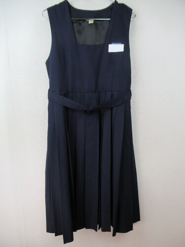 ������ 9071�@750�@�߉ϐ�쒆�w �~�W�����X�J ���n