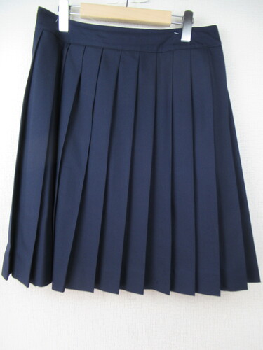 ���ꌧ 9090�@560�@����T�C�Y�I���꓌���Z �~�X�J�[�g ��100�� ���n