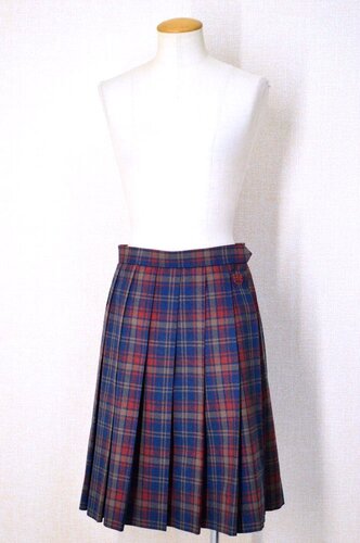  ����ʌ��� �є\�����w�Z �ăX�J�[�g��T5907