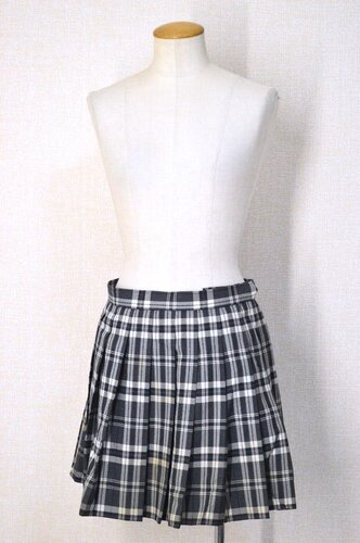  �������s ���w�������w�Z �~�X�J�[�g MITSUKOSHI��T5913