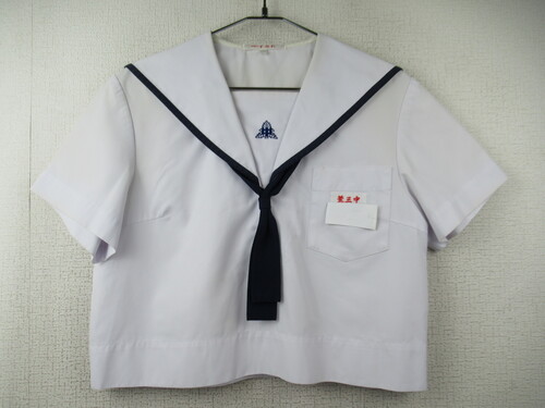 �F�{�� 9146�@230�@�r����O���w �ăZ�[���[�㒅 ���^�C�t