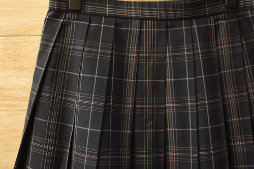  c���ǍD�������s����t���������w�Z �l�C�`�F�b�N�� �ă~�j�X�J�[�gW63L51�����Ȃ�