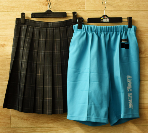  c�������s������a�����w�Z ���q���� �ăX�J�[�g���̑����n�[�t�p���c�E���̑��ߗށ���