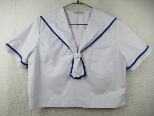 �F�{�� 9147�@230�@����T�C�Y�I�ߏ钆�w �ăZ�[���[�㒅