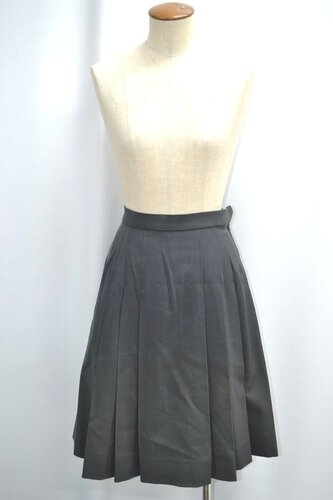  �Z�����s ���{��w��񒆊w�Z �����w�Z �~�X�J�[�g ����6169