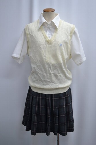  �Z��t�� ���V�����w�Z �ăX�J�[�g �x�X�g ����6176