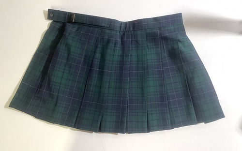 [�s��] �}�C�N���~�j�X�J�[�g���ăX�J�[�g