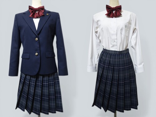 ���{ 446�����ʎ��R�w�����Z���i�Z�͕t�j�u���U�[���`�F�b�N�X�J�[�g�i�~�j�w��u���E�X�E���{����M�EW69