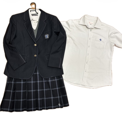 �򕌌� 56  �򕌁@�r�c���Z�@�����@�u���U�[�@�u���E�X�@�ăX�J�[�g�@�j�b�g�x�X�g