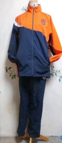  �Z�@���Ɍ��@�_�ˎ����[���w�@�@�����w�Z  �@�e�j�X���@�Z