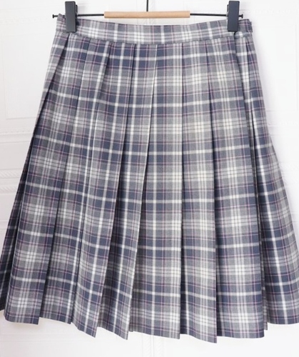 �����s ���� ���~�w�����Z ���� �ĕ� �`�F�b�N�X�J�[�g �E�G�X�g�U�V �ɐ��O�� 